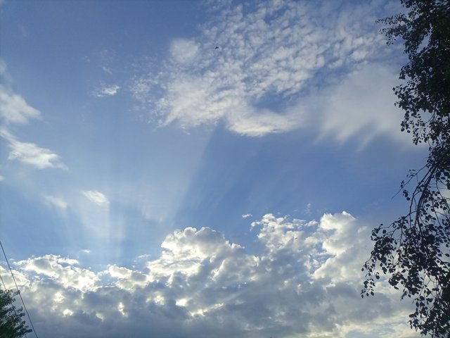 IMG_20250905_065016_781.jpg