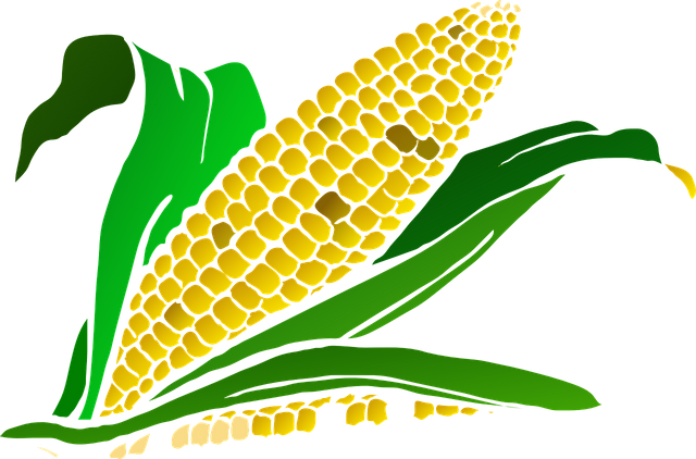 corn-296956_1280.png