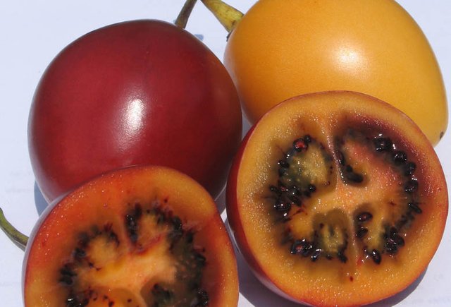 propiedades-tomate-arbol.jpg