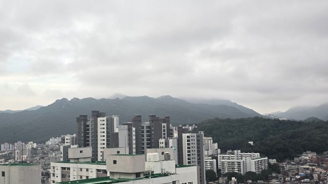 1000131238.jpg