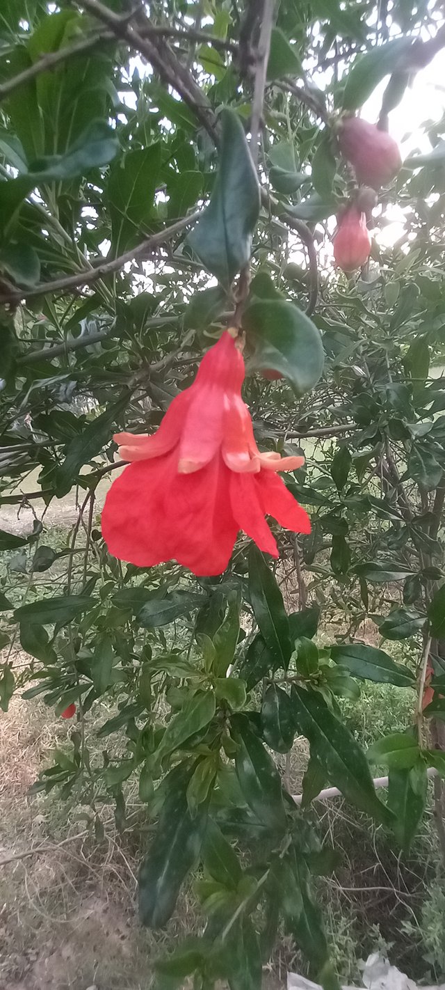 20250407_180432.jpg