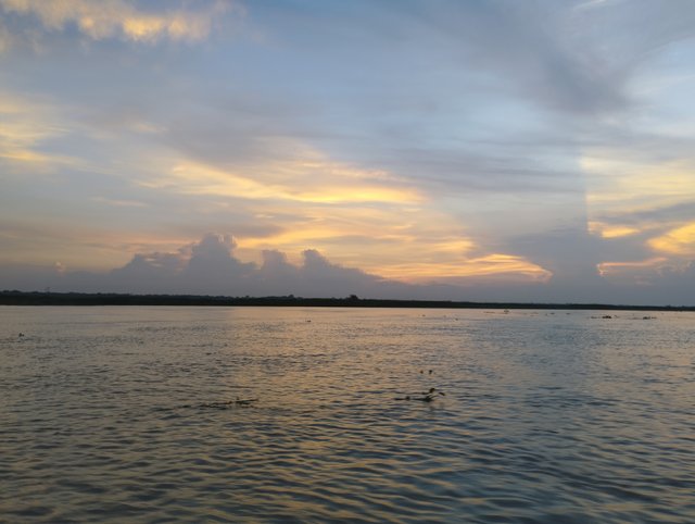 IMG_20250816_183333.jpg