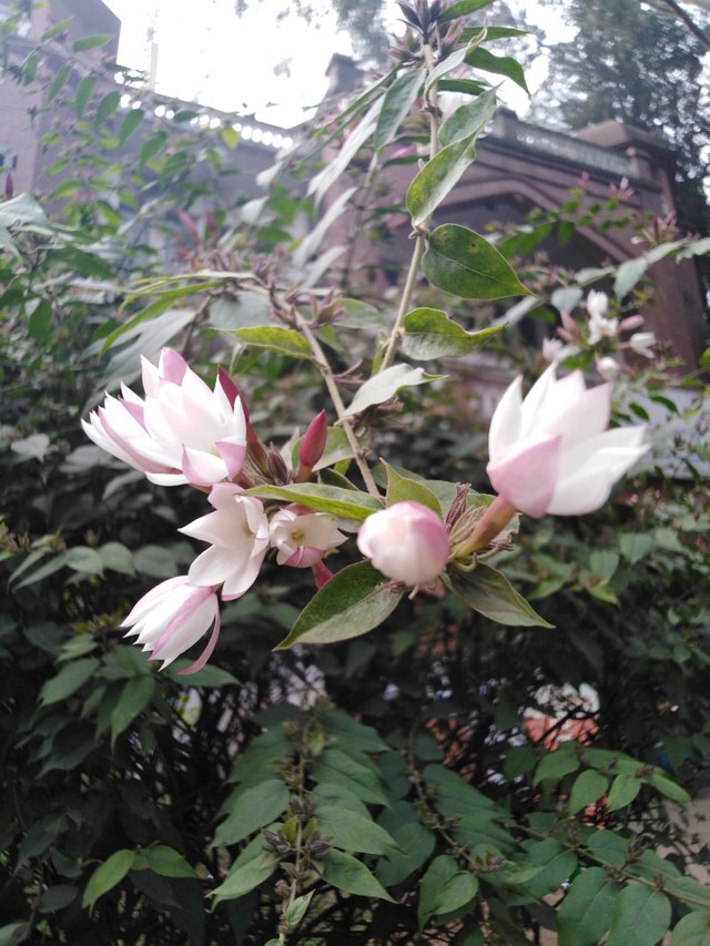 IMG_20220122_101807.jpg