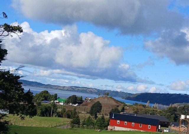 IMG-20250806-WA0002.jpg