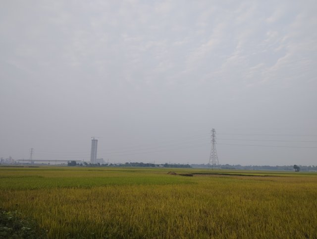 IMG_20231103_165504.jpg