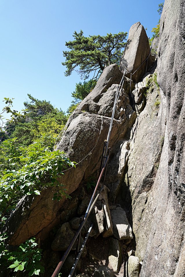 b-DSC08889.JPG