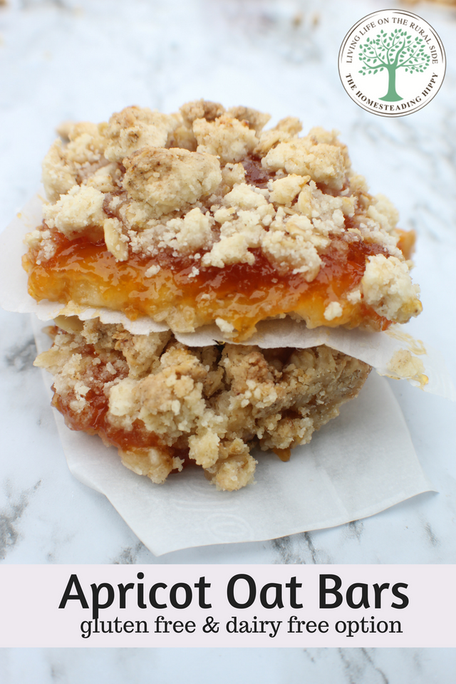 Apricot Aat Bars.png