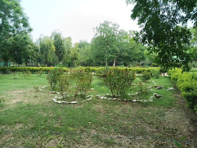 1001050905.jpg
