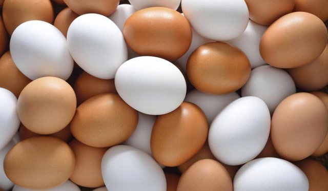 eggs.jpg.image.975.568.jpg