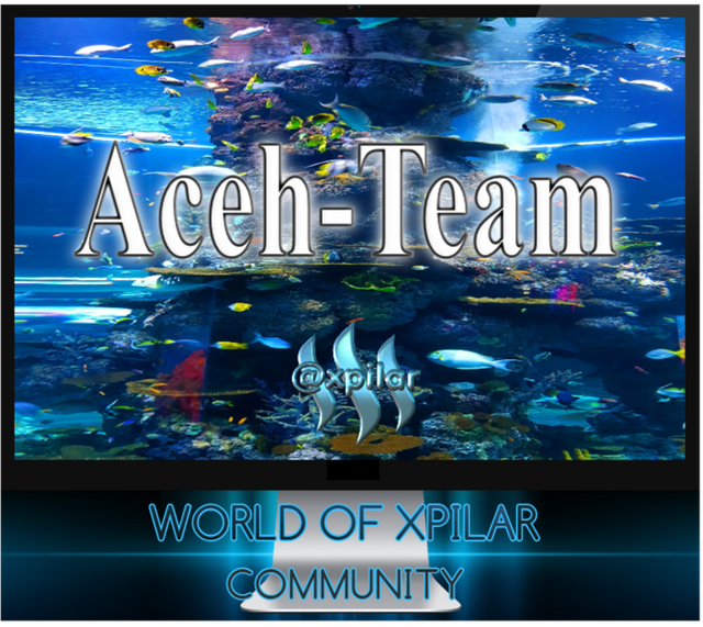 Aceh Team.png