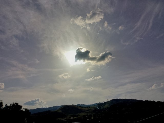 FotoGrid_20250821_142936883.jpg