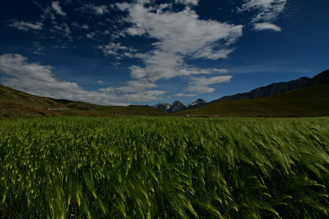 Bildschirmfoto 2015-05-05 um 15.06.31.png