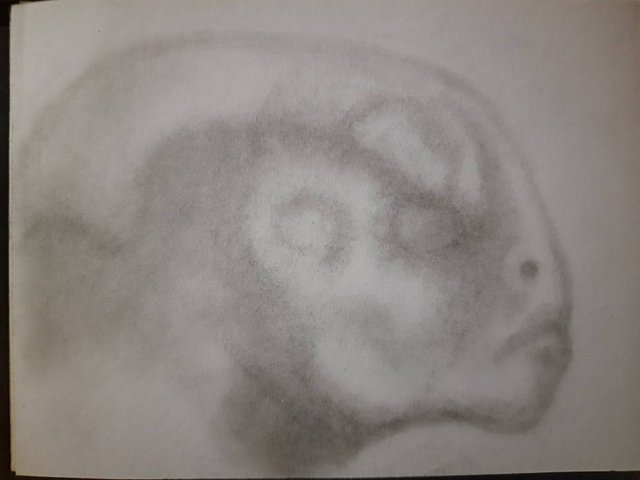 20250504_095734.jpg