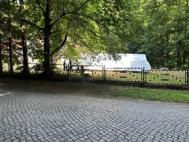 IMG_9876.jpeg