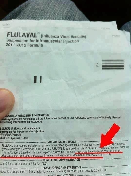 flu virus insert