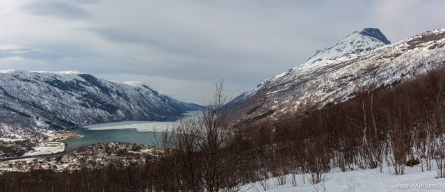 Beisfjord.jpg