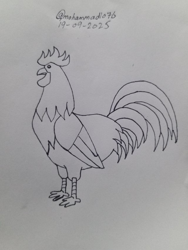 1000106147.jpg