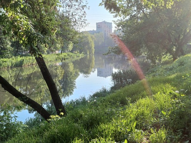 20250513_070332.jpg
