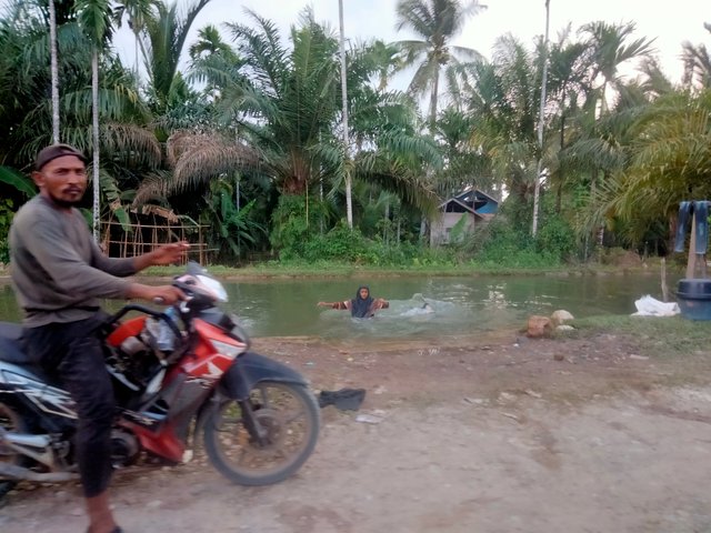IMG20250529161606.jpg
