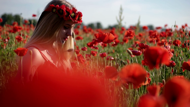videoblocks-young-beautiful-caucasian-woman-among-blooming-poppy-flowers-beautiful-woman-in-a-poppy-field-at-sunset_hzbcwagm_thumbnail-full01.png