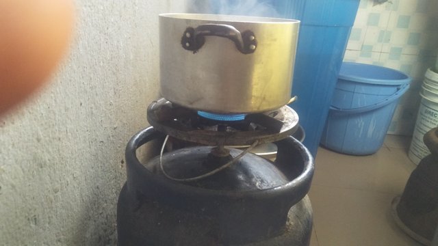 IMG20250504081943.jpg