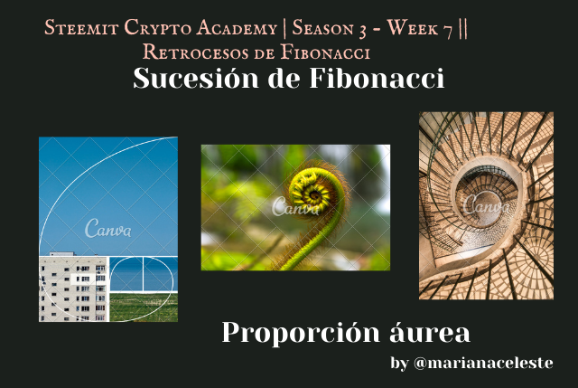 Steemit Crypto Academy  Season 3 - Week 7  Retrocesos de Fibonacci (3).png