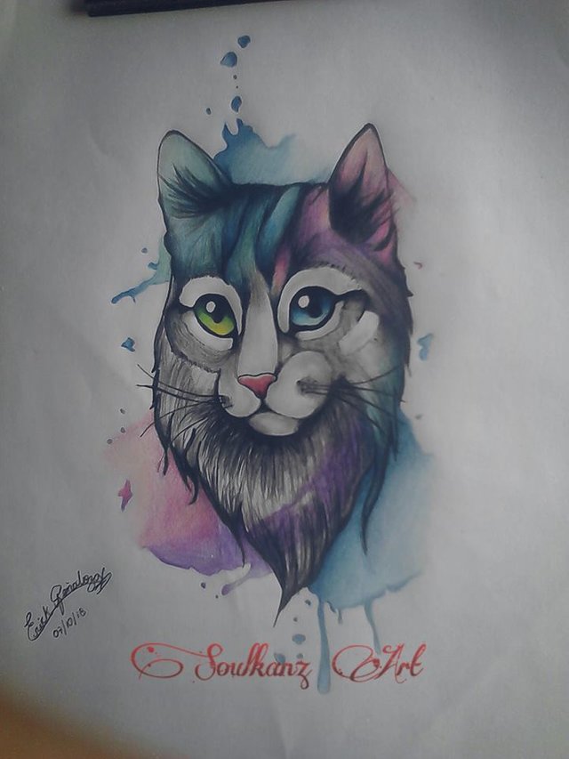 cotton's art . . . warrior cat art only