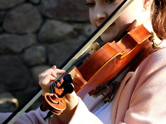 violinist-3745407_1280.jpg