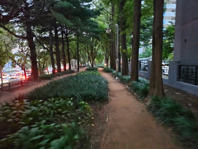 20250919_182439.jpg