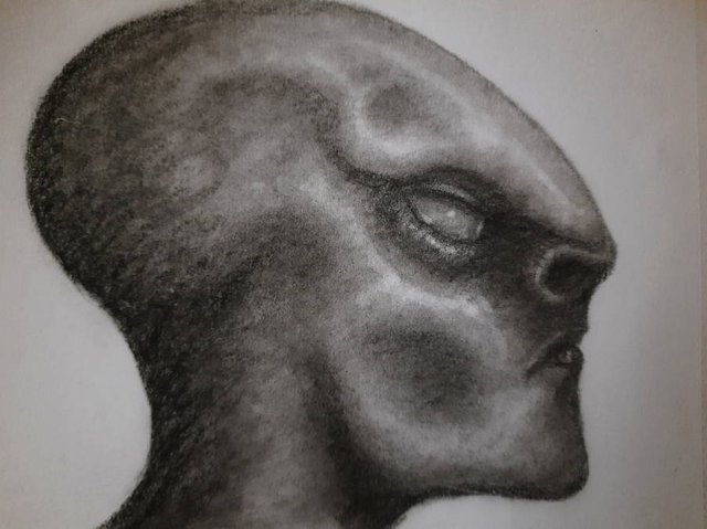 20250917_112728.jpg