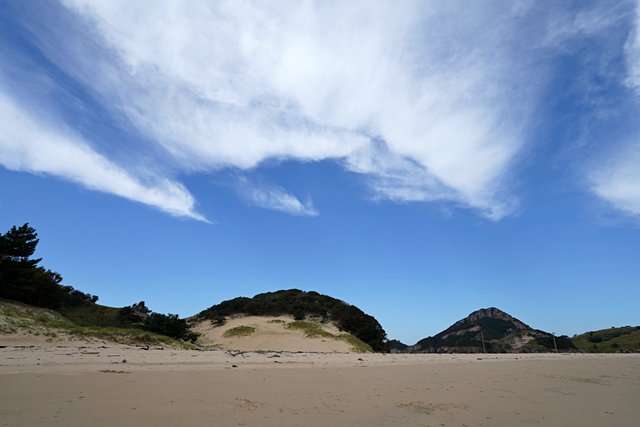 b-DSC03404.JPG