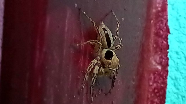 20220620_163609.jpg
