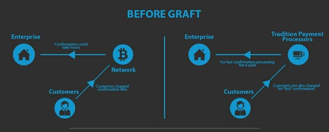 Graft-1.jpg