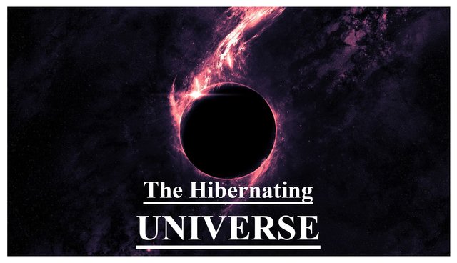 thumbnail the hibernatig universe (1).jpg