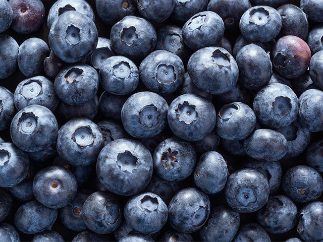 blueberries-732x549-thumbnail-732x549.jpg