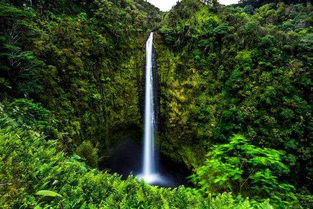 akaka-falls.jpg