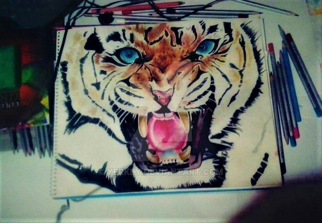 pantera tigris dibujo