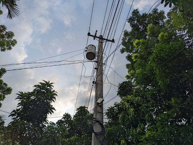 1000031363.jpg