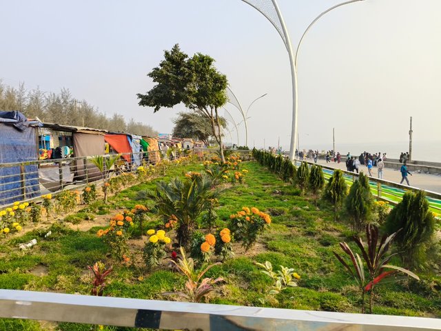 1000013095.jpg