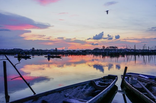 SRL-image-5.jpg
