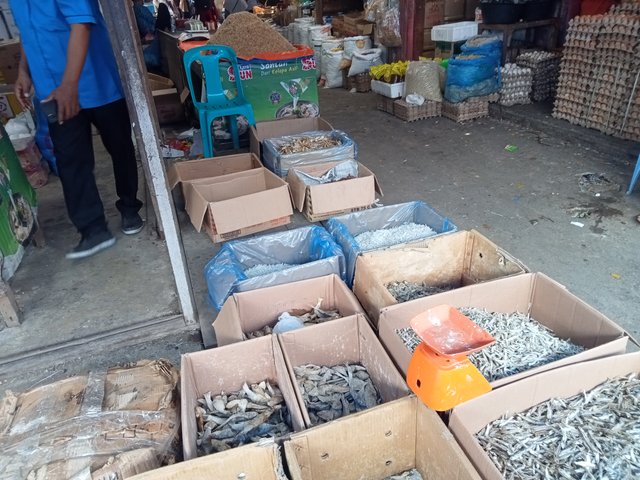 IMG20250731113501.jpg