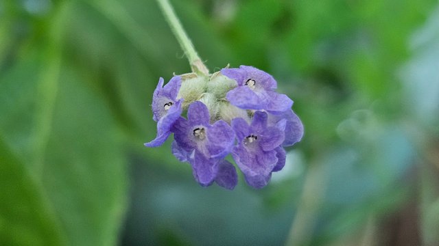 20250612_134606.jpg
