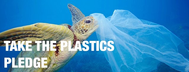Take-the-Plastic-Pledge.jpg