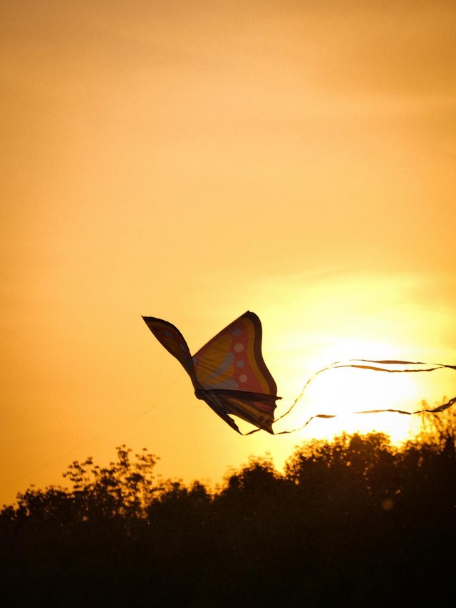 free-photo-of-kite-in-the-shape-of-a-butterfly-against-the-sky-at-sunset.jpeg