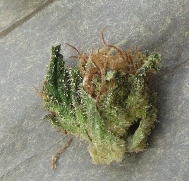 microflameog.jpg