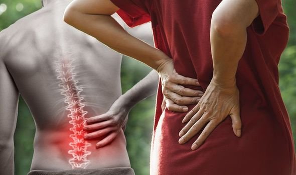 5 Symptoms Indicating It’s Time to Visit a Spinal Specialist.jpg