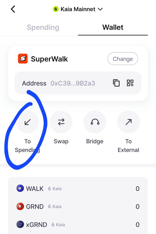 Screenshot_20250114_121450_SuperWalk.jpg