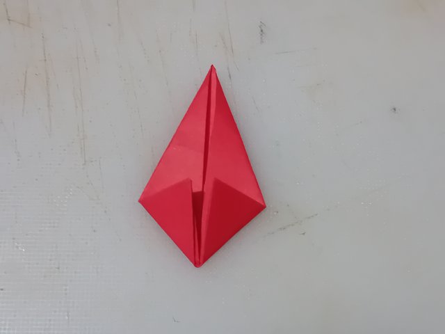 1000059362.jpg