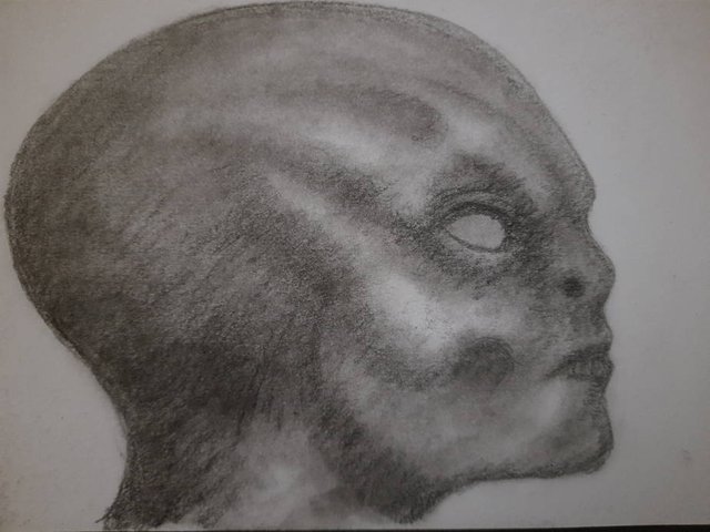 20250722_102747.jpg