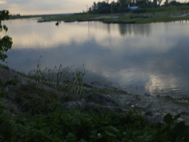IMG_20230714_174602.jpg